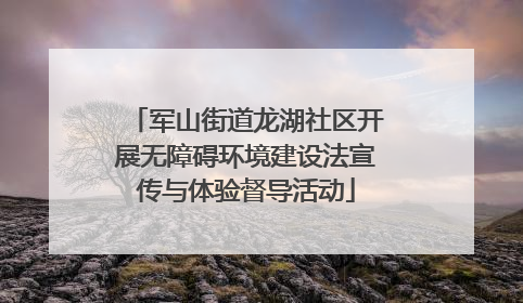 军山街道龙湖社区开展无障碍环境建设法宣传与体验督导活动