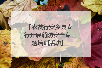 农发行安乡县支行开展消防安全专题培训活动