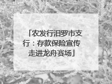 农发行汨罗市支行：存款保险宣传走进龙舟赛场