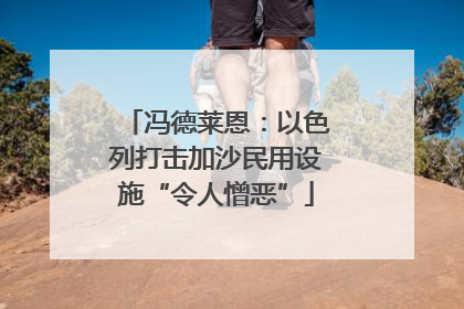 冯德莱恩：以色列打击加沙民用设施“令人憎恶”