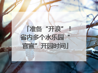 准备“开浪”！省内多个水乐园“官宣”开园时间