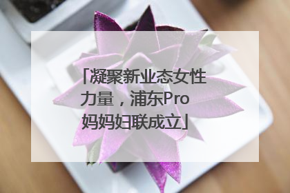 凝聚新业态女性力量，浦东Pro妈妈妇联成立