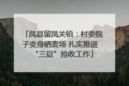 凤县留凤关镇：村委院子变身晒麦场 扎实推进“三夏”抢收工作