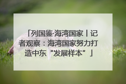列国鉴·海湾国家丨记者观察：海湾国家努力打造中东“发展样本”