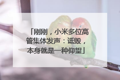 刚刚，小米多位高管集体发声：诋毁，本身就是一种仰望