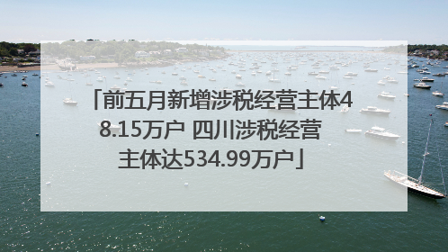 前五月新增涉税经营主体48.15万户 四川涉税经营主体达534.99万户