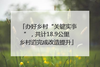 办好乡村“关键实事”，共计18.9公里乡村道完成改造提升