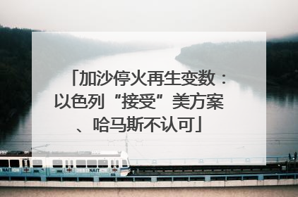 加沙停火再生变数：以色列“接受”美方案、哈马斯不认可