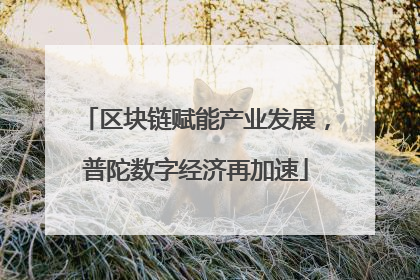 区块链赋能产业发展，普陀数字经济再加速