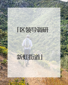 区领导调研新虹街道