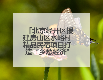 北京经开区援建房山区水峪村精品民宿项目打造“乡愁经济”新标杆