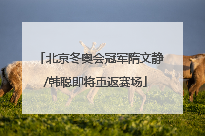 北京冬奥会冠军隋文静/韩聪即将重返赛场