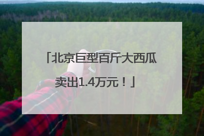 北京巨型百斤大西瓜卖出1.4万元！