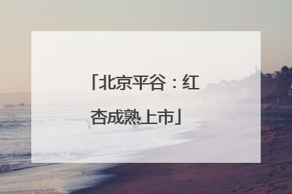 北京平谷：红杏成熟上市