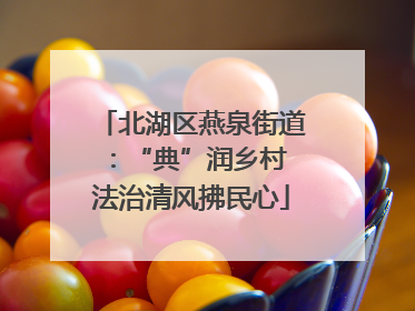 北湖区燕泉街道：“典”润乡村 法治清风拂民心