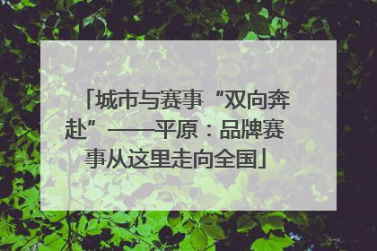 城市与赛事“双向奔赴”——平原：品牌赛事从这里走向全国