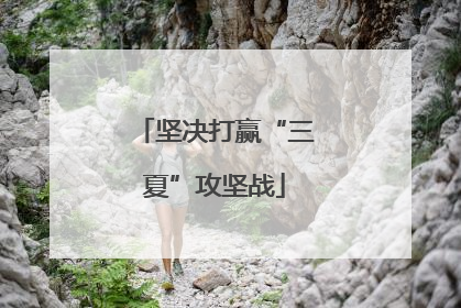 坚决打赢“三夏”攻坚战