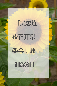 吴忠连夜召开常委会：教训深刻