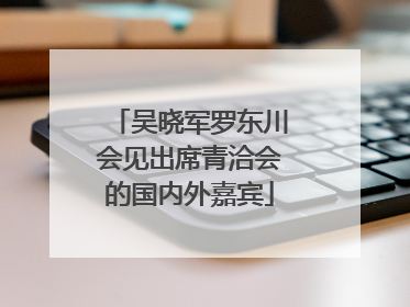 吴晓军罗东川会见出席青洽会的国内外嘉宾