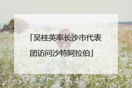 吴桂英率长沙市代表团访问沙特阿拉伯