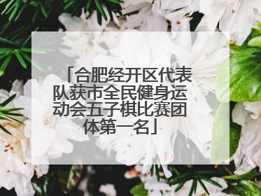 合肥经开区代表队获市全民健身运动会五子棋比赛团体第一名