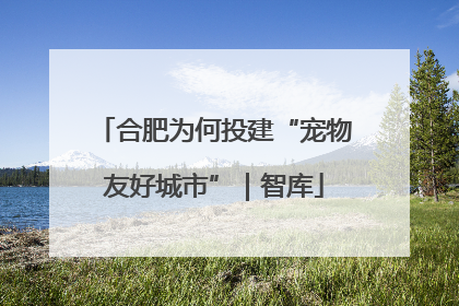 合肥为何投建“宠物友好城市”｜智库
