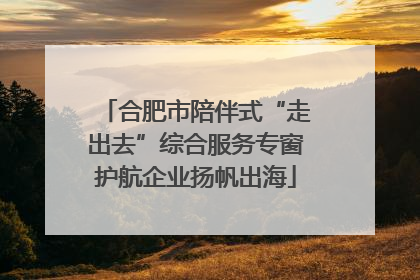 合肥市陪伴式“走出去”综合服务专窗护航企业扬帆出海