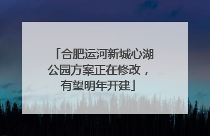 合肥运河新城心湖公园方案正在修改，有望明年开建