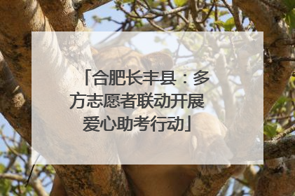 合肥长丰县：多方志愿者联动开展爱心助考行动