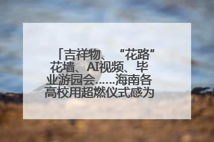 吉祥物、“花路”花墙、AI视频、毕业游园会……海南各高校用超燃仪式感为学子青春“存档”
