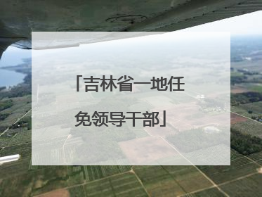 吉林省一地任免领导干部