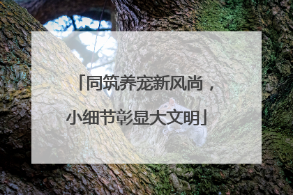 同筑养宠新风尚，小细节彰显大文明