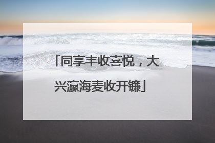 同享丰收喜悦，大兴瀛海麦收开镰