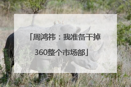 周鸿祎：我准备干掉360整个市场部