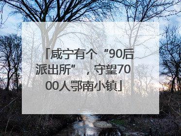 咸宁有个“90后派出所”，守望7000人鄂南小镇