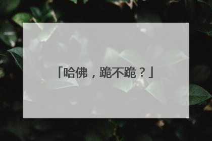 哈佛，跪不跪？