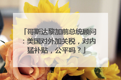 哥斯达黎加前总统顾问：美国对外加关税，对内猛补贴，公平吗？