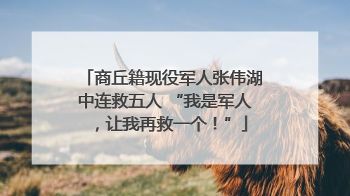 商丘籍现役军人张伟湖中连救五人 “我是军人，让我再救一个！”