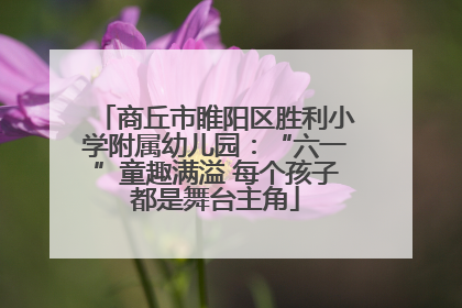 商丘市睢阳区胜利小学附属幼儿园：“六一”童趣满溢 每个孩子都是舞台主角