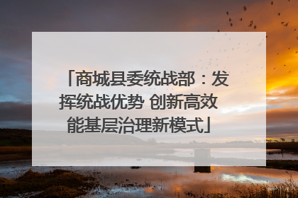 商城县委统战部：发挥统战优势 创新高效能基层治理新模式