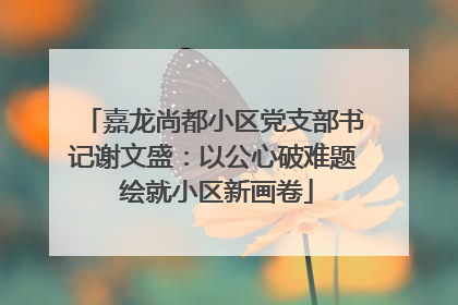 嘉龙尚都小区党支部书记谢文盛：以公心破难题 绘就小区新画卷
