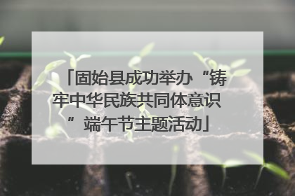 固始县成功举办“铸牢中华民族共同体意识”端午节主题活动