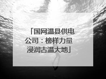 国网温县供电公司：榜样力量浸润古温大地