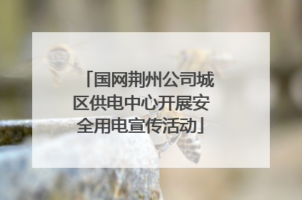 国网荆州公司城区供电中心开展安全用电宣传活动