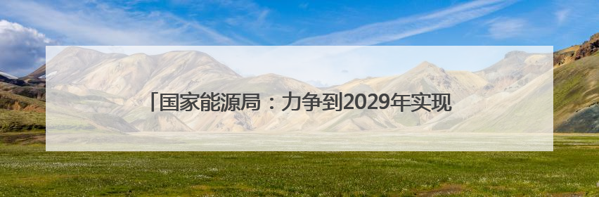 国家能源局：力争到2029年实现现代化用电营商环境“五化”目标