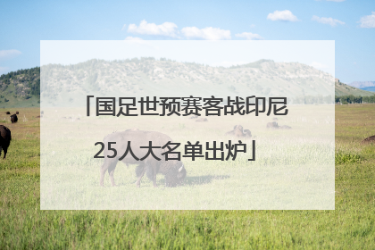 国足世预赛客战印尼25人大名单出炉
