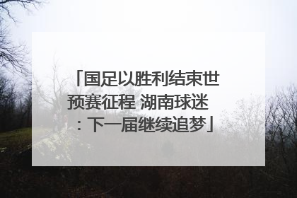 国足以胜利结束世预赛征程 湖南球迷：下一届继续追梦