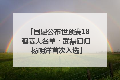 国足公布世预赛18强赛大名单：武磊回归 杨明洋首次入选