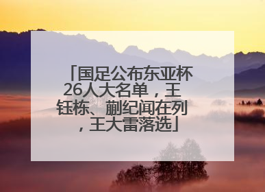 国足公布东亚杯26人大名单，王钰栋、蒯纪闻在列，王大雷落选