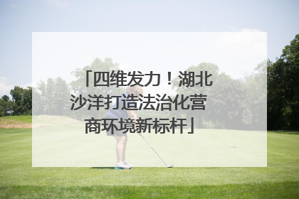 四维发力！湖北沙洋打造法治化营商环境新标杆